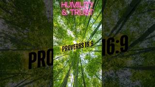 Proverbs 169 Explained in a few seconds faith guidance proverbs god [upl. by Nerty734]