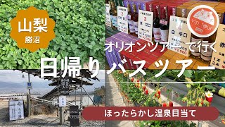 【日帰りバスツアー】ほったらかし温泉目当て★山梨勝沼ワイナリーで試飲ハーブ園旅日記山梨ブランド肉食べ比べ御膳イチゴ食べ放題 [upl. by Prisca]