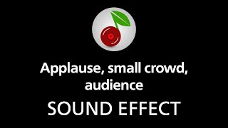 🎧 Applause small crowd audience SOUND EFFECT [upl. by Chas]