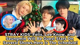 STRAY KIDS Felix Lee Know and Seungmin Will Be Guest Stars On Several ShowsHere Is The Schedule [upl. by Kessiah538]