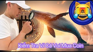 Hướng Dẫn Kiểm Tra Ví Cá Voi Tìm Những Token Tiềm Năng 2024 [upl. by Bellina73]