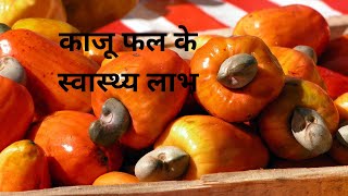 Cashew Fruit Benefits in Hindi काजू फल के स्वास्थ्य लाभ [upl. by Langdon]