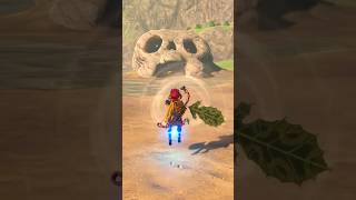 Epic Bomb Launch The Legend of Zelda Breath of the Wild [upl. by Normac]