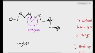 A level Biological Molecules  Learn the ENTIRE topic in this video AQA A level Biology Revision [upl. by Amye306]