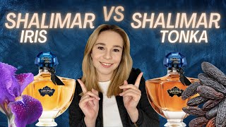 NEW Shalimar Millesime Iris Vs Shalimar Millesime Tonka  Review and Comparison 2023 [upl. by Hite]