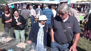 HautesAlpes Foire aux dindes de Lagrand [upl. by Pestana778]