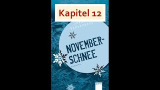 Duits klas 3 Novemberschnee Kapitel 12 Seite 114 120 [upl. by Eninnej316]