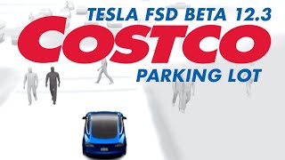 Tesla FSD 123  The Ultimate Test Costco Parking On a Saturday [upl. by Alim]