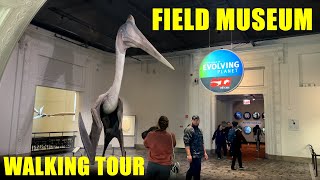 Field Museum  Chicago Natural History Museum  Full Walkthrough  Walking Tour  Relaxing  4K [upl. by Laurence]