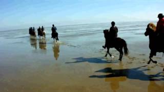 Reiten am Nordseestrand mit PFERD amp REITER [upl. by Eillod964]