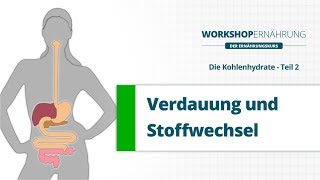 KOHLENHYDRATE 26 Verdauung Stoffwechsel und das Hormon Insulin  Workshop Ernährung [upl. by Amsirp842]