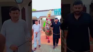 Chicho ki mallian molaali beautiful nadeemsarwar moharram motivation [upl. by Lanevuj53]