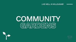 Willoughby Council Community Gardens [upl. by Ahsirat]