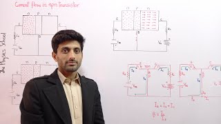 current flow in a npn transistor current gain of transistor class 12 physics chapter 18 electronics [upl. by Delly]