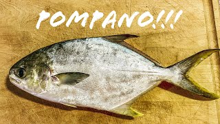 Smoked Fish Dip  POMPANO [upl. by Clementina248]