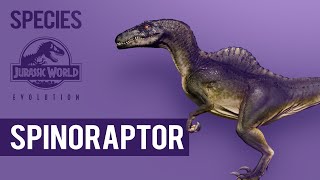 Spinoraptor  SPECIES PROFILE  Jurassic World Evolution [upl. by Iglesias]