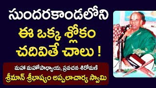 సుందరకాండలోని ఈ ఒక్క శ్లోకం చదివితే చాలు  Sribhashyam Appalacharyulu  Ramayanam Kopparapu Kavulu [upl. by Seerdi315]