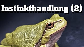 Instinkthandlung 2  Doppelte Quantifizierung [upl. by Nanyk273]