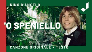 Nino DAngelo  O speniello [upl. by Cinderella331]