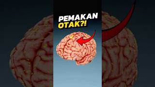 MAHLUK Ini Bisa MEMAKAN OTAK Kamu‼️😨 [upl. by Lseil]