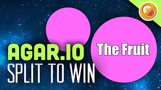 Agario  Split to Win Funny Moments 2 [upl. by Cinomod]