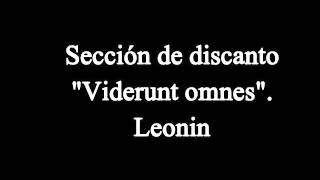 Sección de discanto en quotViderunt omnesquot de Leonin [upl. by Pellegrini]