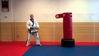 Warren Levi Karate Spinning Roundhouse Kick instructional [upl. by Gilmour]