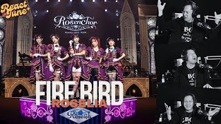 TERBANG BERSAMA BURUNG API ROSELIA  FIRE BIRD reactionvideo [upl. by Neely61]