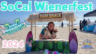 SoCal Wienerfest 2024 Wiener Dog Races Dachshund Festival Full Event [upl. by Freeland]