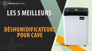 ⭐️ MEILLEUR DESHUMIDIFICATEUR POUR CAVE  Comparatif 2023 [upl. by Anialam]