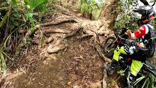 Serow 225  CRF 150L lost in Jurassic park trail Cebu City [upl. by Nauq]