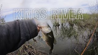 Fishing the Kings River  Lemoore CA [upl. by Pournaras]