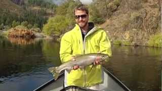 Trinity River Steelhead  Hookem Heckys Guide Service [upl. by Ybbil]