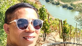 Discover The Beautiful Mosel RiverGermany [upl. by Evoy389]