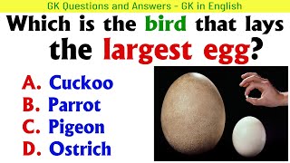 GK questions।। GK questions and answers।। GK in English  General knowledge ✅ gkquestion GK [upl. by Seadon]