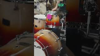 Canopus drums sound incredible shorts [upl. by Oiredised]