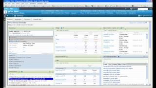 Cerner PowerChart Ambulatory EHR podiatry demonstration [upl. by Saraann]