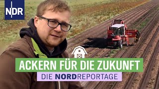 Ackern für die Zukunft  Der junge Kartoffelbauer  Die Nordreportage  NDR [upl. by Brigid]