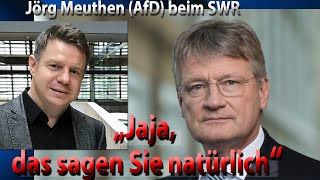 Jörg Meuthen AfD im Radiointerview  Wie der SWR gegen die AfD Propaganda macht [upl. by Okubo]