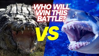 Crocodile vs Shark  The Epic Battle of the Apex Predators [upl. by Shutz]