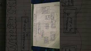 Nitrogen cycle explain with diagram [upl. by Sephira]