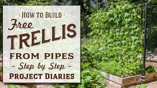 ★ How to Make A Free Trellis from Pipes A Complete Step by Step Guide [upl. by Zzabahs]