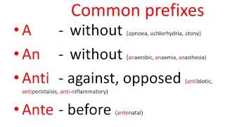 Medical terms  common prefixes [upl. by Nylidam63]