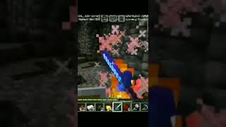 Minecraft Chorus Fruit MLG Eats 2024 [upl. by Eelyrag]