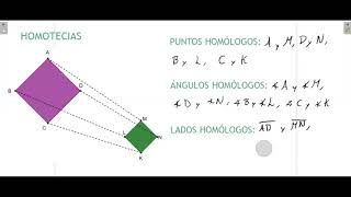 8° Homotecias  Como encontrar puntos ángulos y lados homólogos [upl. by Analed]