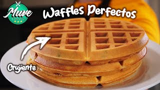 CÓMO HACER WAFFLES 🧇  ESTA ES LA MEZCLA PERFECTA  Muve Flavors [upl. by Daron]