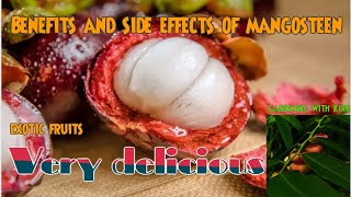 Benefits and side effects of Mangosteen [upl. by Jenkins]