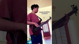 Santeria by Sublime Bass Cover [upl. by Novaat]