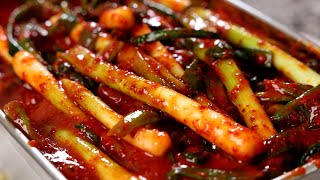 Green onion kimchi Pakimchi 파김치 [upl. by Bernstein400]