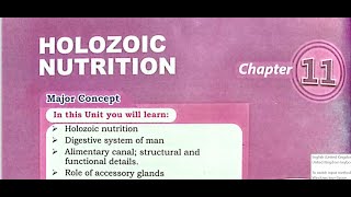 holozoic nutrition part 2 [upl. by Soren]